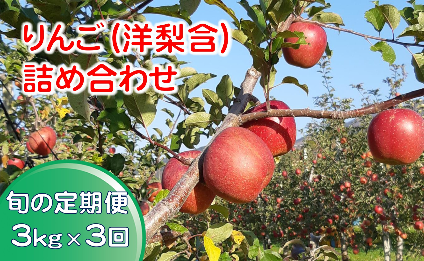 当主こだわりの詰合せをお届け！
