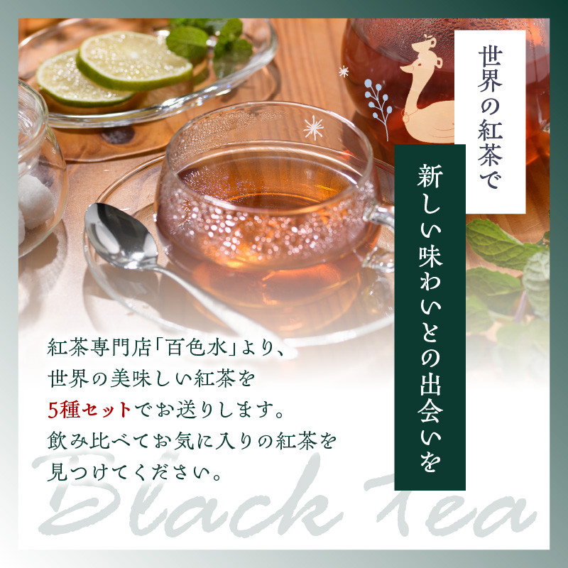 【全2回定期便】世界の美味しい紅茶５種セット