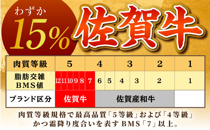 【全国有数のブランド牛】佐賀牛サーロインブロック 5kg【がばいフーズ】A5ランク 佐賀牛 [HCS109]