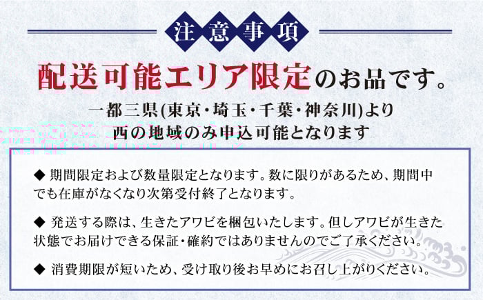 アワビ 鮑 あわび お祝い 活き 限定 期間 数量 刺身 東京 神奈川 埼玉 千葉 生きたまま 貝 常温