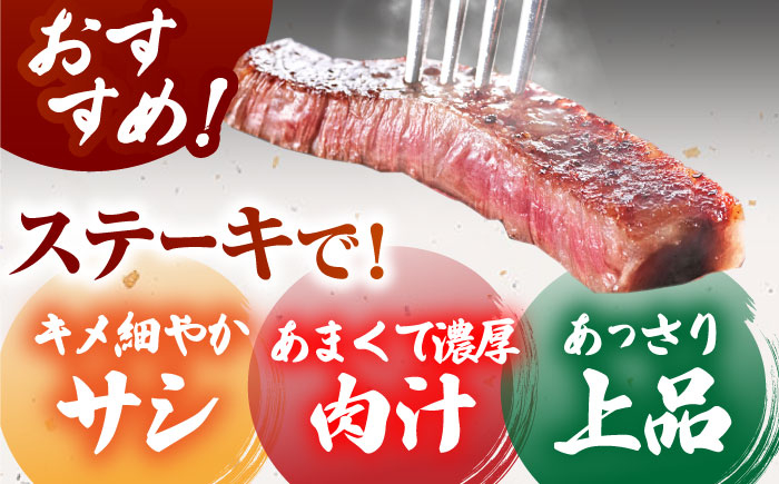 【全国有数のブランド牛】佐賀牛サーロインブロック 5kg【がばいフーズ】A5ランク 佐賀牛 [HCS109]