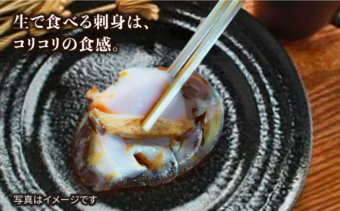 アワビ 鮑 あわび お祝い 活き 限定 期間 数量 刺身 東京 神奈川 埼玉 千葉 生きたまま 貝 常温