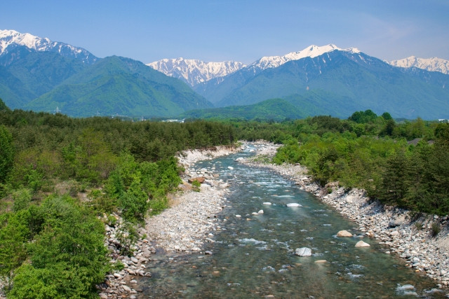 松本の暮らし、みんなの声。