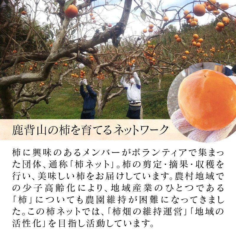 かせやまの柿-富有柿　Lサイズ　約3.5kg