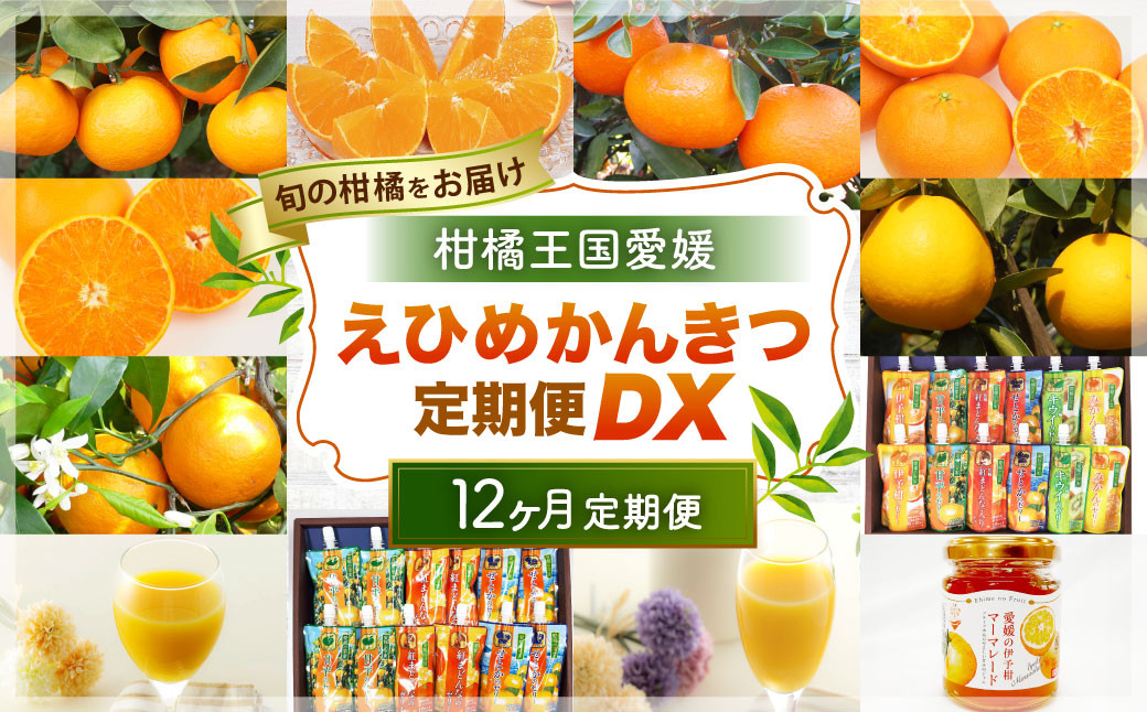 【12回定期便】 えひめかんきつ定期便デラックス（通年お届け）(47) 