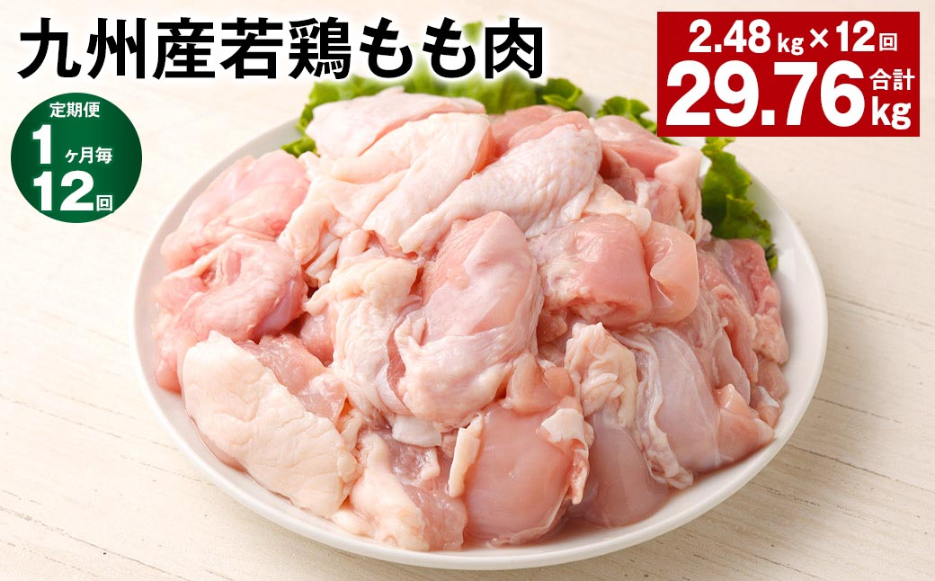【1ヶ月毎12回定期便】 九州産若鶏もも肉 計約29.76kg（約2.48kg×12回） 鶏肉 もも肉 お肉