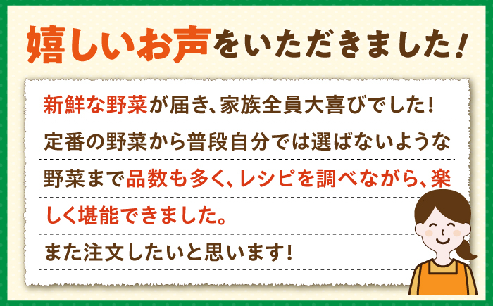野菜 セット 詰め合わせ 詰合せ 季節の野菜 やさい