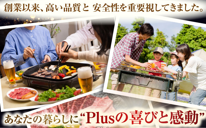 冷凍 国産牛 牛肉 ブランド牛 焼き肉 牛肉 肉 お取り寄せ 焼肉 BBQ