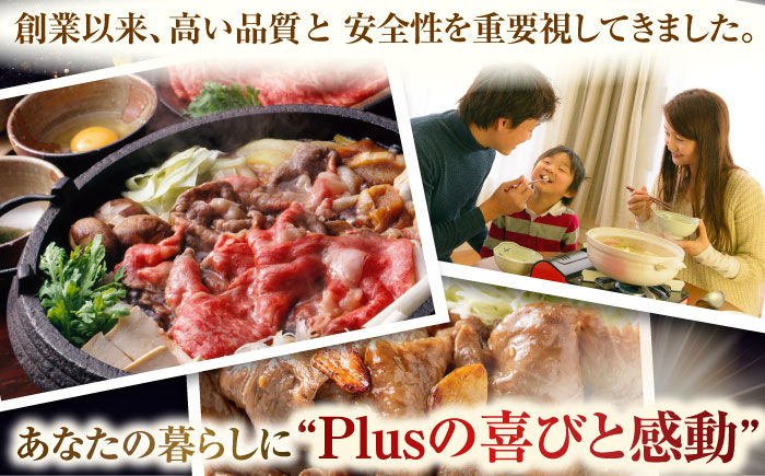 牛肉 肉 国産 切り落し  切りおとし きりおとし 切落とし