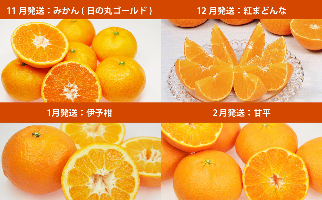 【12回定期便】 えひめかんきつ定期便デラックス（通年お届け）(47) 