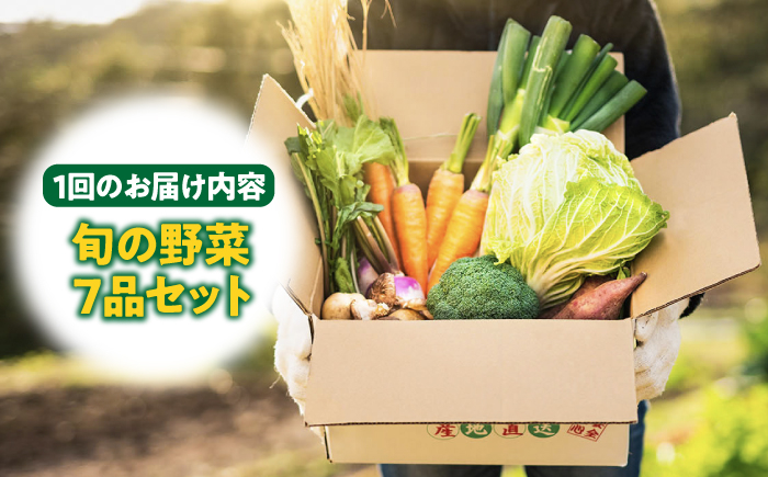 野菜 セット 詰め合わせ 詰合せ 季節の野菜 やさい