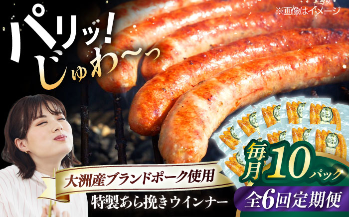 秒でプラスもう一品!ブランドポーク『オズの箱入り娘』使用!特製ウインナー(5本入り)×10袋