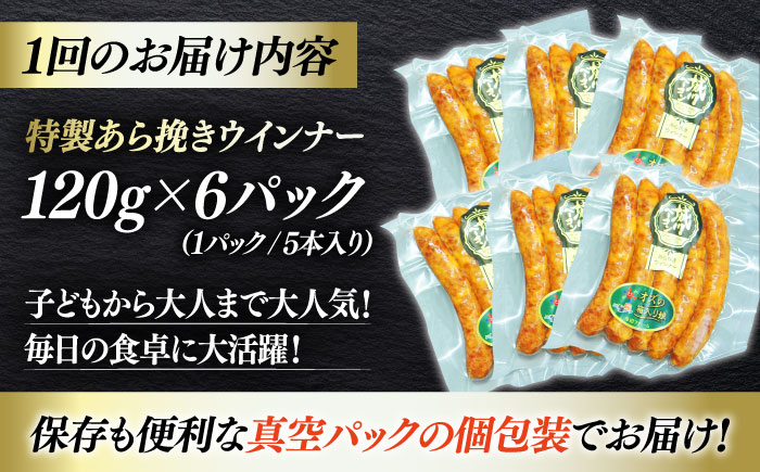 秒でプラスもう一品!ブランドポーク『オズの箱入り娘』使用!特製ウインナー(5本入り)×6袋