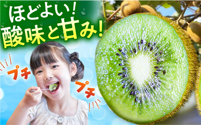 佐賀県産 キウイフルーツ ( ヘイワード ) 3.6kg【JAさが】[HBZ001]キウイ フルーツ 果物 佐賀 国産キウイ