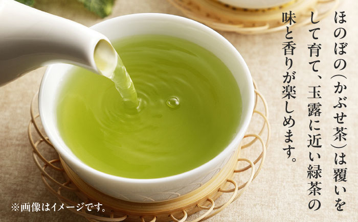 茶 ちゃ お茶 おちゃ 緑茶 りょくちゃ 日本茶 茶葉 煎茶 飲み比べ セット