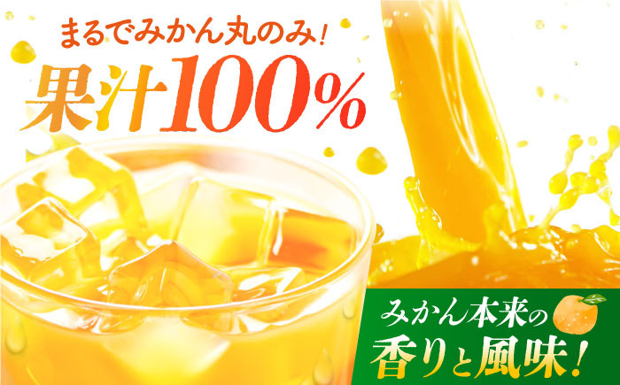 【“幻のみかん”20個以上】今村みかんジュース 720ml×2本【今村みかんジュースの会】 [HBI001] みかんジュース