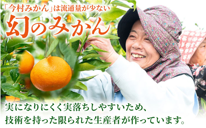 【“幻のみかん”20個以上】今村みかんジュース 720ml×2本【今村みかんジュースの会】 [HBI001] みかんジュース