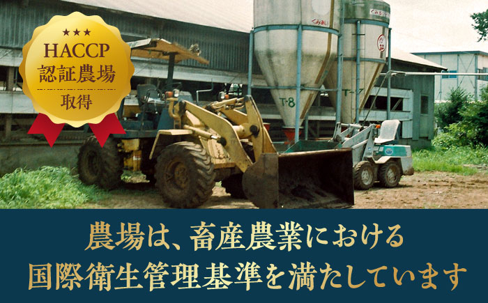 秒でプラスもう一品！大洲市産ブランドポーク『オズの箱入り娘』を使用したベーコンとウィンナーセット（小）