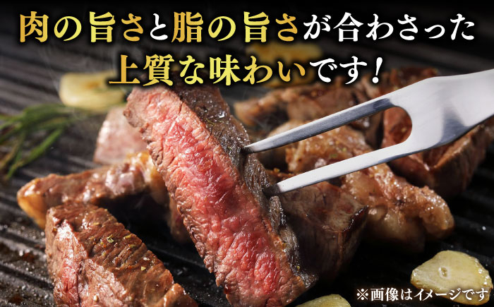 【豊美牛】ヒレステーキ 300g 三重県亀山産 黒毛和牛 / ヒレステーキ肉 ひれすてーき 2枚 150g