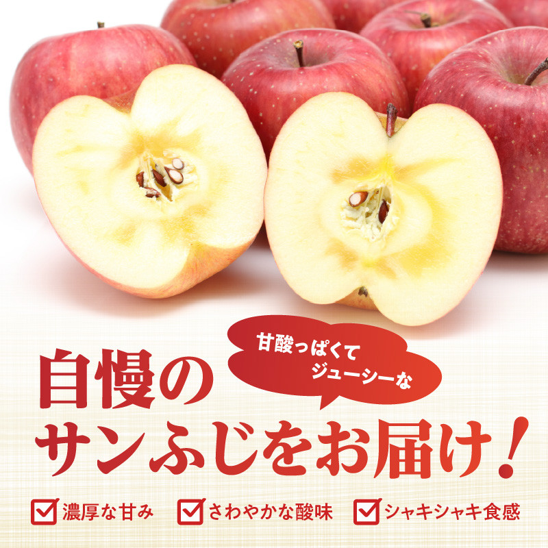 《先行受付》【贈答規格】サンふじ 5kg(16玉~20玉)【2025年11月中旬以降~発送予定】