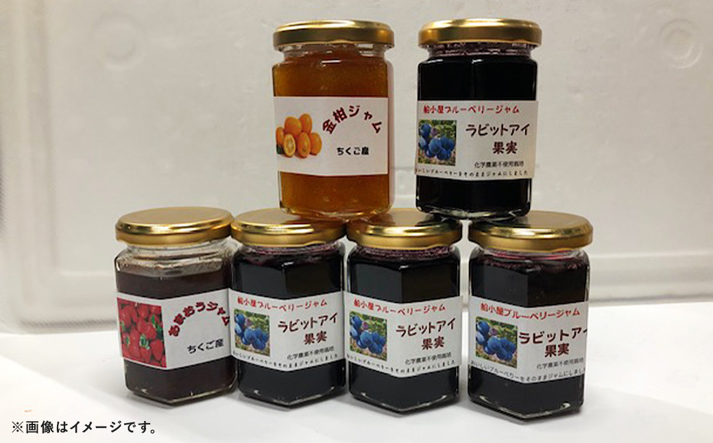 筑後産の ブルーベリージャム 5本 ＋ おすすめジャム 1本 計6本