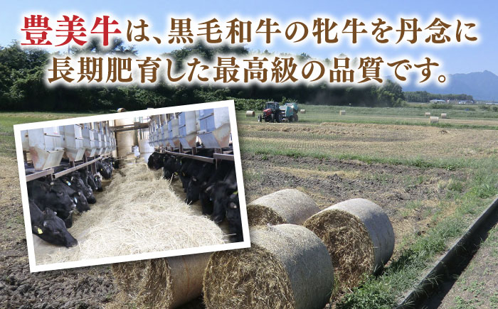 【豊美牛】サーロインステーキ 360g 三重県亀山産 黒毛和牛 / 2枚 さーろいんすてーき 牛肉