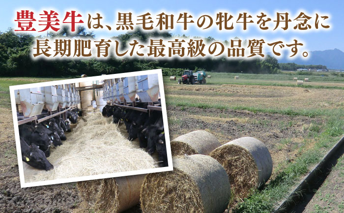 【豊美牛】すき焼き用 800g 三重県亀山産 黒毛和牛 / すきやき すき焼き用牛肉 すき焼き肉 牛肉 すき焼きセット