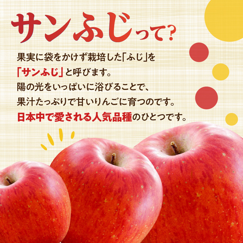 《先行受付》【贈答規格】サンふじ 5kg(16玉~20玉)【2025年11月中旬以降~発送予定】