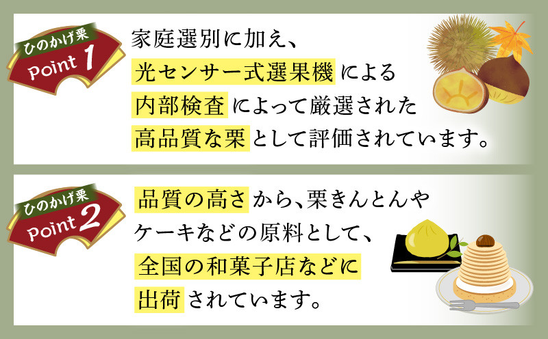 高千穂・ひのかげくり