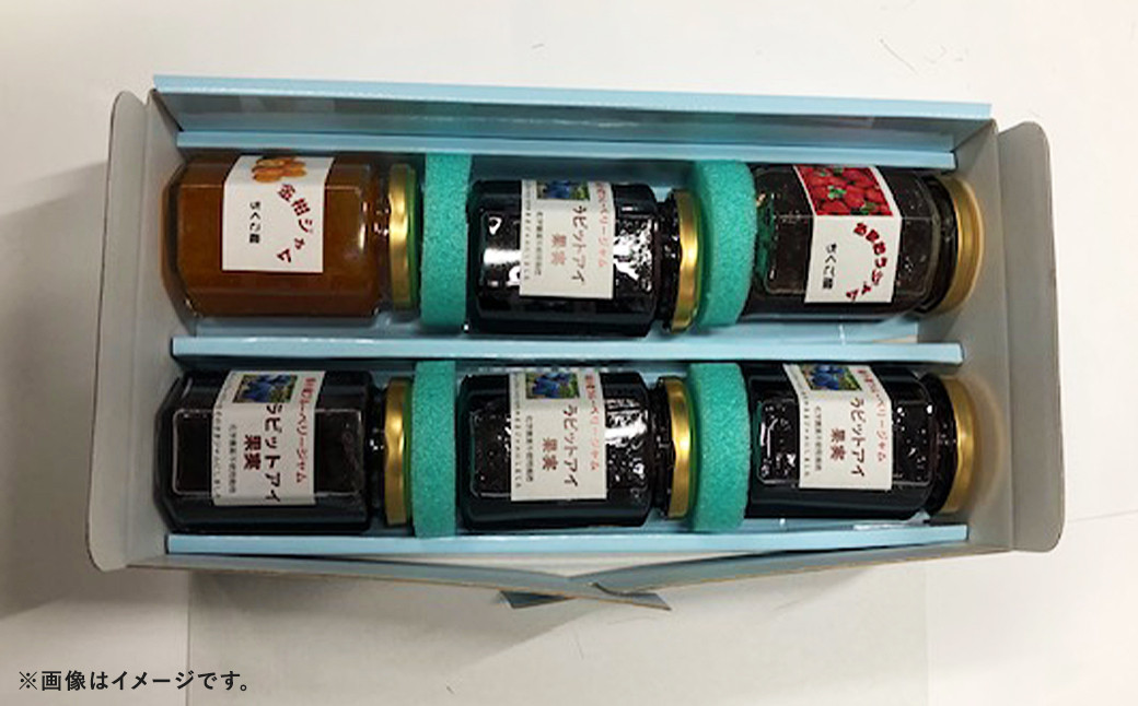 筑後産の ブルーベリージャム 5本 ＋ おすすめジャム 1本 計6本