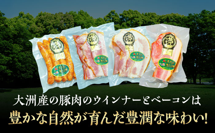 大洲市産ブランドポーク『オズの箱入り娘』を使用したベーコンとウィンナーセット(大)
