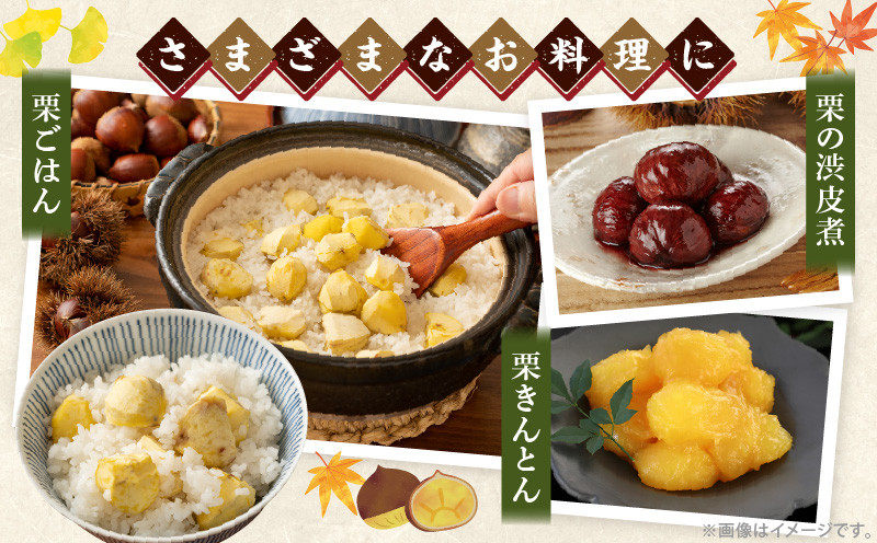 高千穂・ひのかげくり