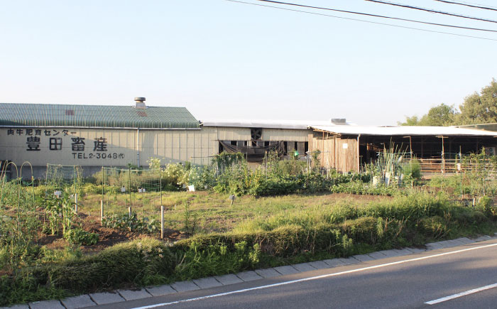 【豊美牛】ヒレステーキ 300g 三重県亀山産 黒毛和牛 / ヒレステーキ肉 ひれすてーき 2枚 150g
