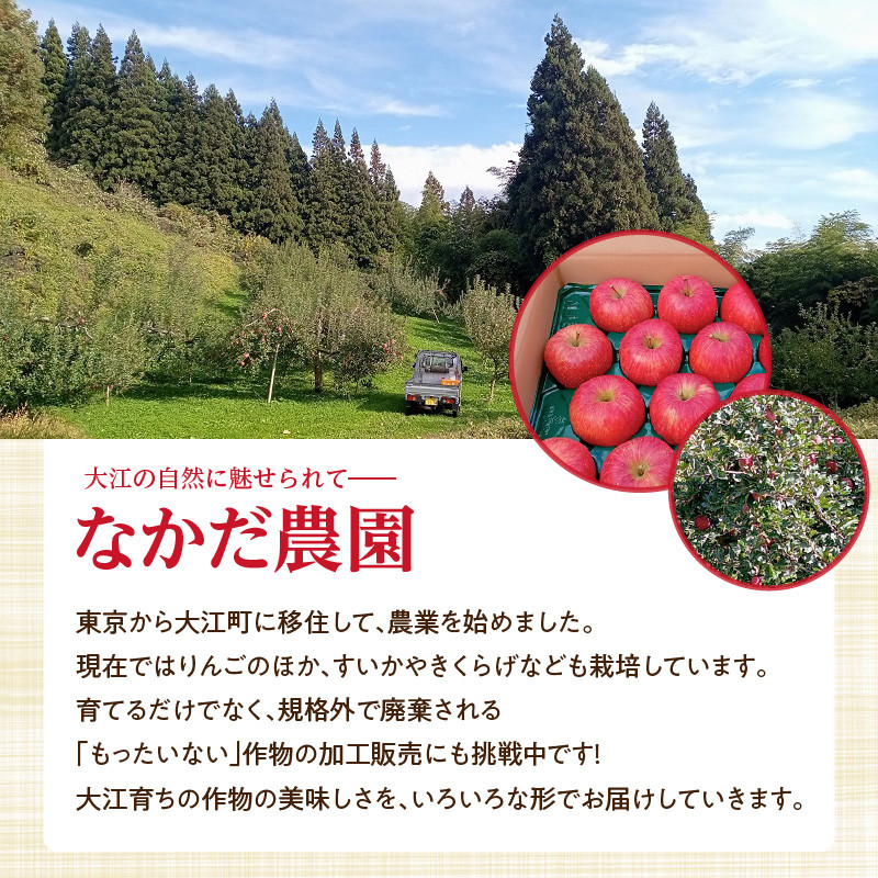 《先行受付》【贈答規格】サンふじ 5kg(16玉~20玉)【2025年11月中旬以降~発送予定】
