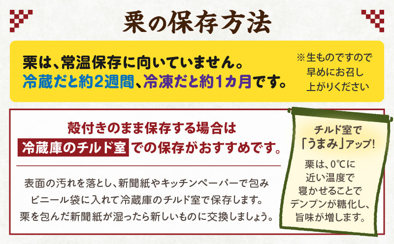 高千穂・ひのかげくり