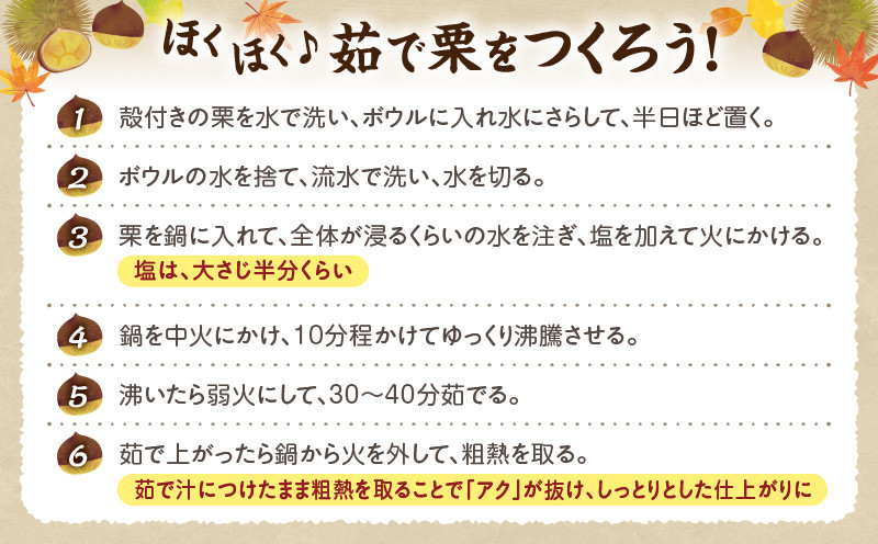 高千穂・ひのかげくり