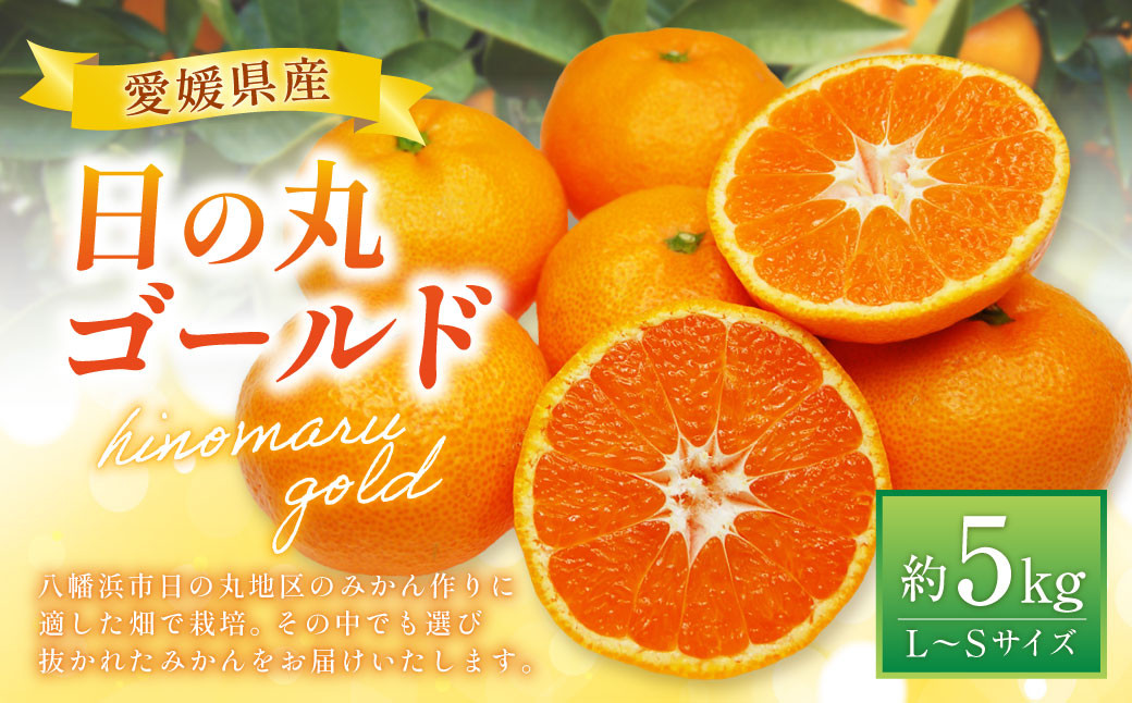 みかん （日の丸ゴールド） L～Sサイズ （約5kg）  （519） 【2025年11月下旬～2025年12月下旬発送予定】