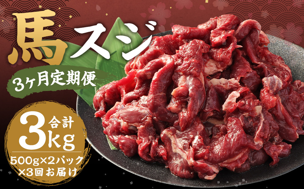 【3ヶ月定期便】 馬スジ 約1kg(500g×2パック) 計約3kg
