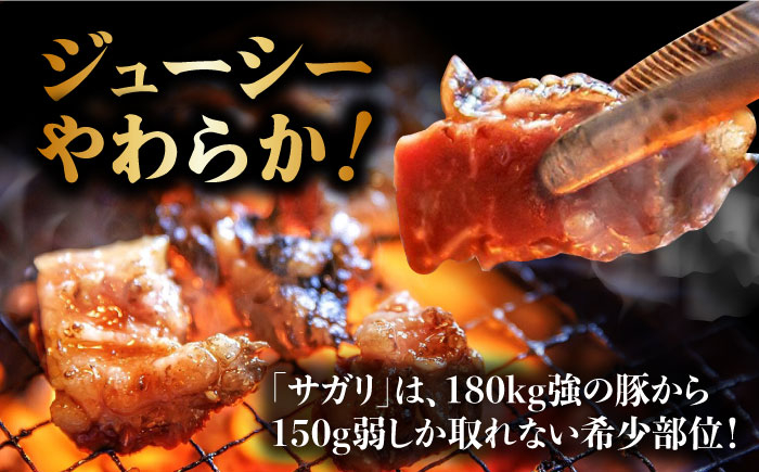 肉 豚肉 ブランド ブランド肉 雲仙 雲仙もみじ豚 サガリ 食べ比べ 希少部位 長崎県 島原 島原市