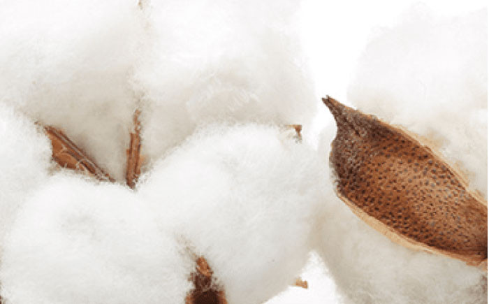 麦茶煮だし名人（30枚×8袋）