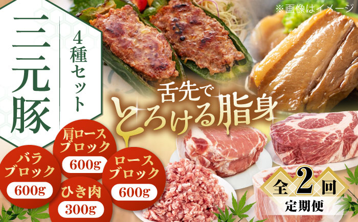 肉 豚肉 ブロック ステーキ ステーキ用 ロース ロースステーキ