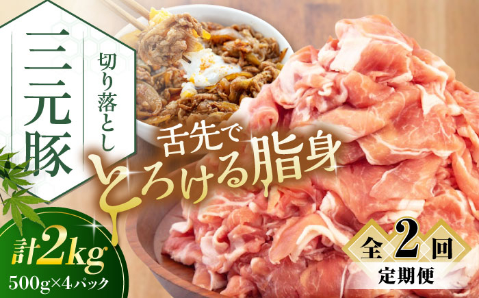 三元豚 切り落とし 計2kg(500g×4パック)  肉 豚肉  冷凍配送 定期便
