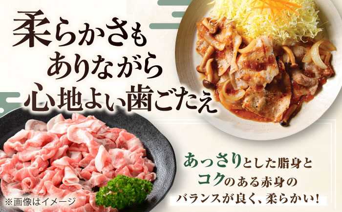 三元豚 切り落とし 計3kg(500g×6パック) 肉 豚肉  冷凍配送 定期便