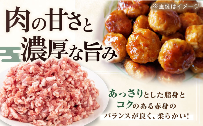 肉 豚肉 ブロック ステーキ ステーキ用 ロース ロースステーキ バラ