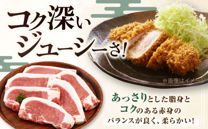 三元豚 ロースステーキ 6枚(100g/枚) 肉 豚肉 ロース ステーキ ステーキ用 生姜焼き