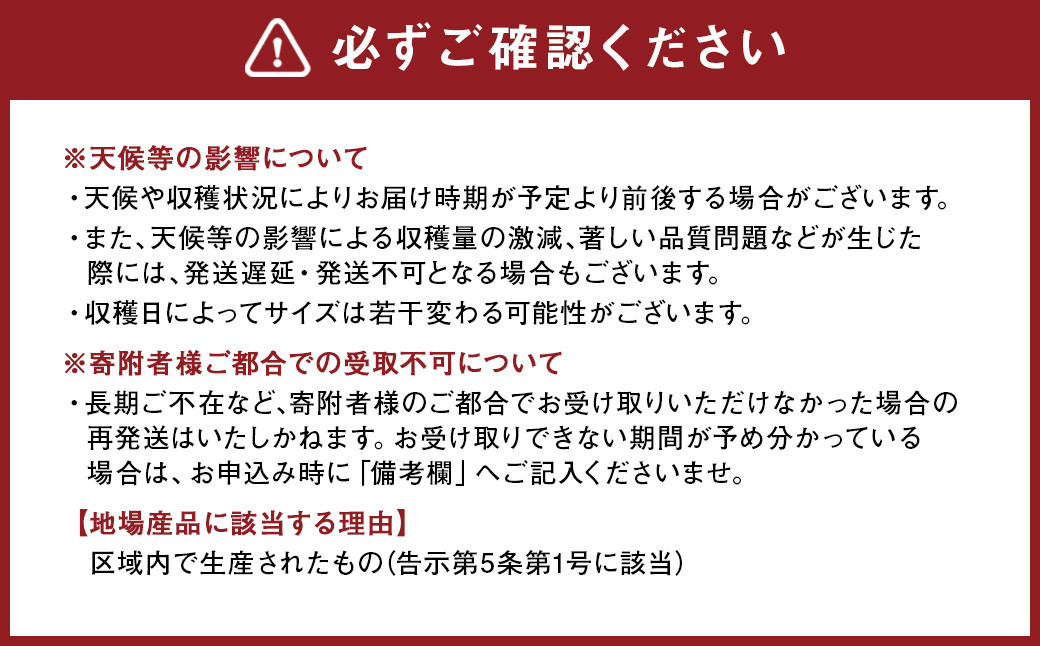 熊本県産晩白柚 1玉入り