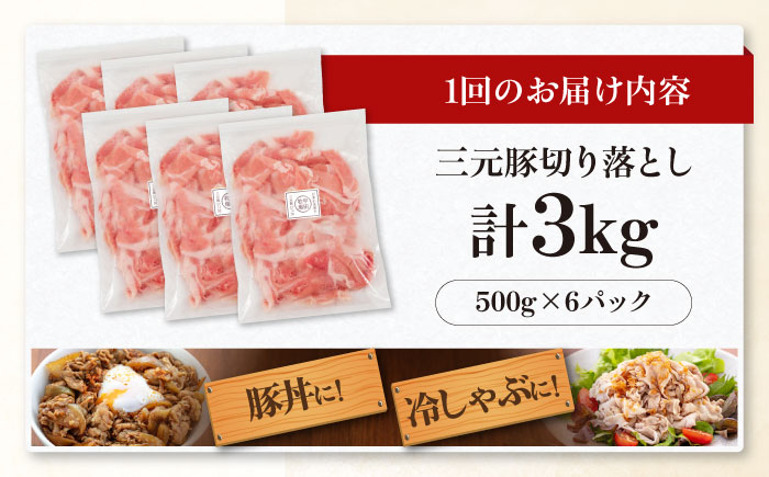 三元豚 切り落とし 計3kg(500g×6パック) 肉 豚肉  冷凍配送 定期便