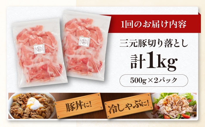 三元豚 切り落とし 計1kg(500g×2パック) 肉 豚肉  冷凍配送 定期便