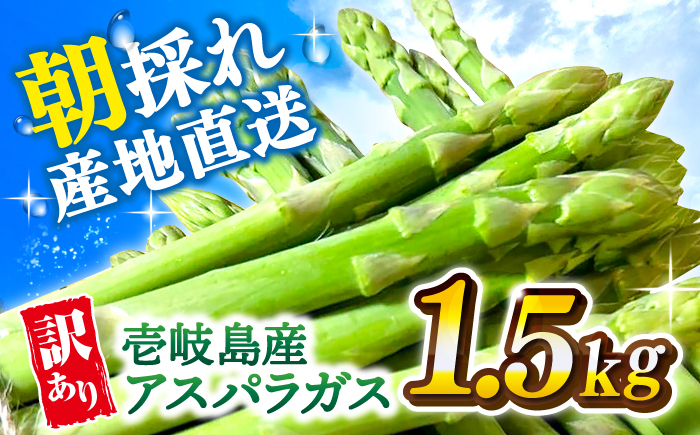 野菜 アスパラ 新鮮 美味しい おいしい 食べ応え