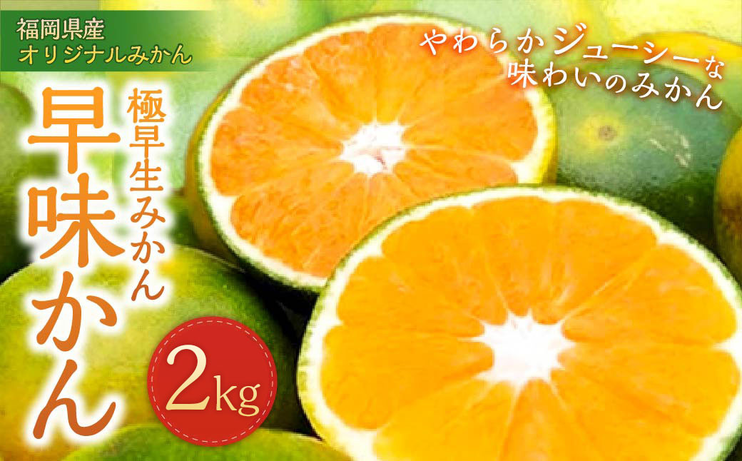 福岡県産 極早生みかん・早味かん 約2kg 果物 くだもの フルーツ 柑橘 かんきつ 【2024年9月上旬～9月下旬発送予定】